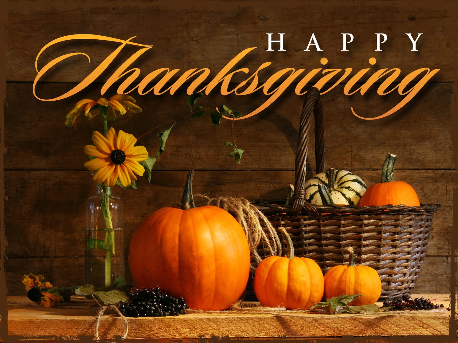 happy thanksgiving cryptocurrency