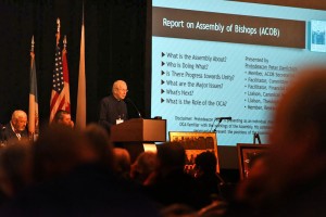Dcn. Danilchick's report on the Assembly of Bishops of the USA